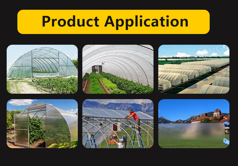 Greenhouse10