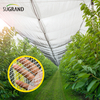 Fabrica din China Plasă de protecție împotriva grindinii 60g/m2-70g/m2 pentru seră
