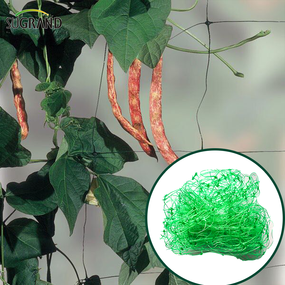 8GSM-10GSM Green HDPE Plant Support