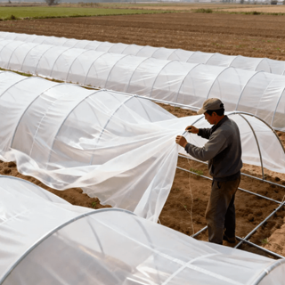 UV 190 Micron cu seră de polietilenă Film de 6 mil. Fabrica de copertă din plastic de plastic