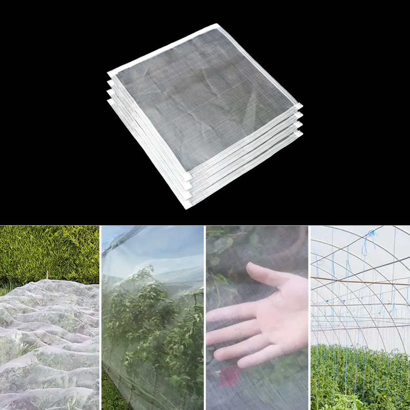 Vânzare fierbinte din fabrică 16x16 Planturi de tomate plasă de insecte