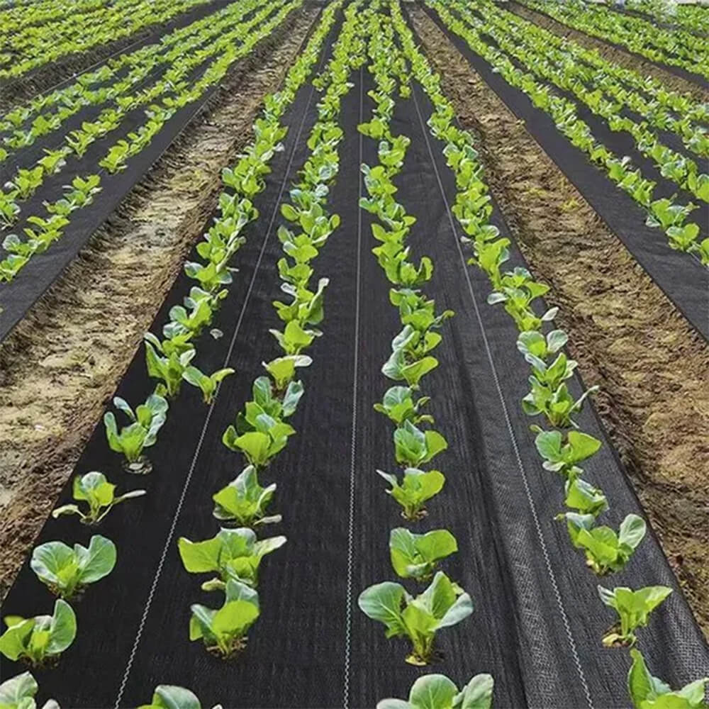 Fabrică de țesături peisaj pentru acoperirea solului verde închis