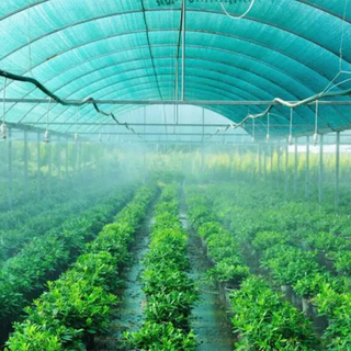 Green Tape Trei Ace Shade Net