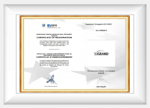 certificat6