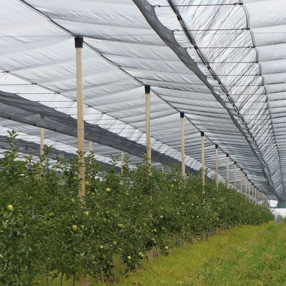 Plase de grindină tricotate premium pentru podgorii