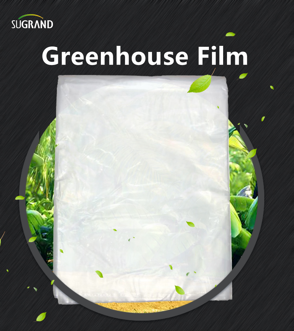Film din foi de plastic