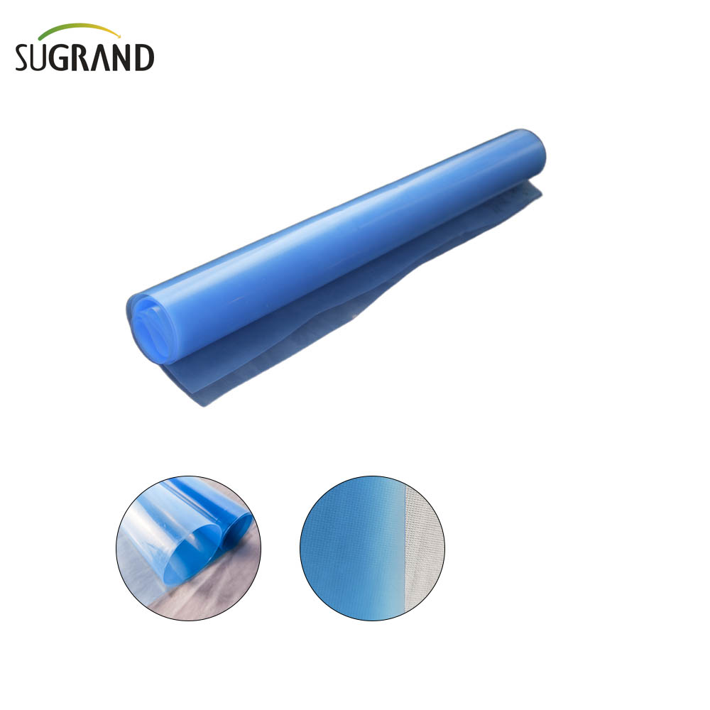  6 Mil Polietilenă Film cu efect de seră Blue Film din plastic 