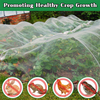 Anti insecte NETTING HDPE 40 50 Mesh Alb transparent