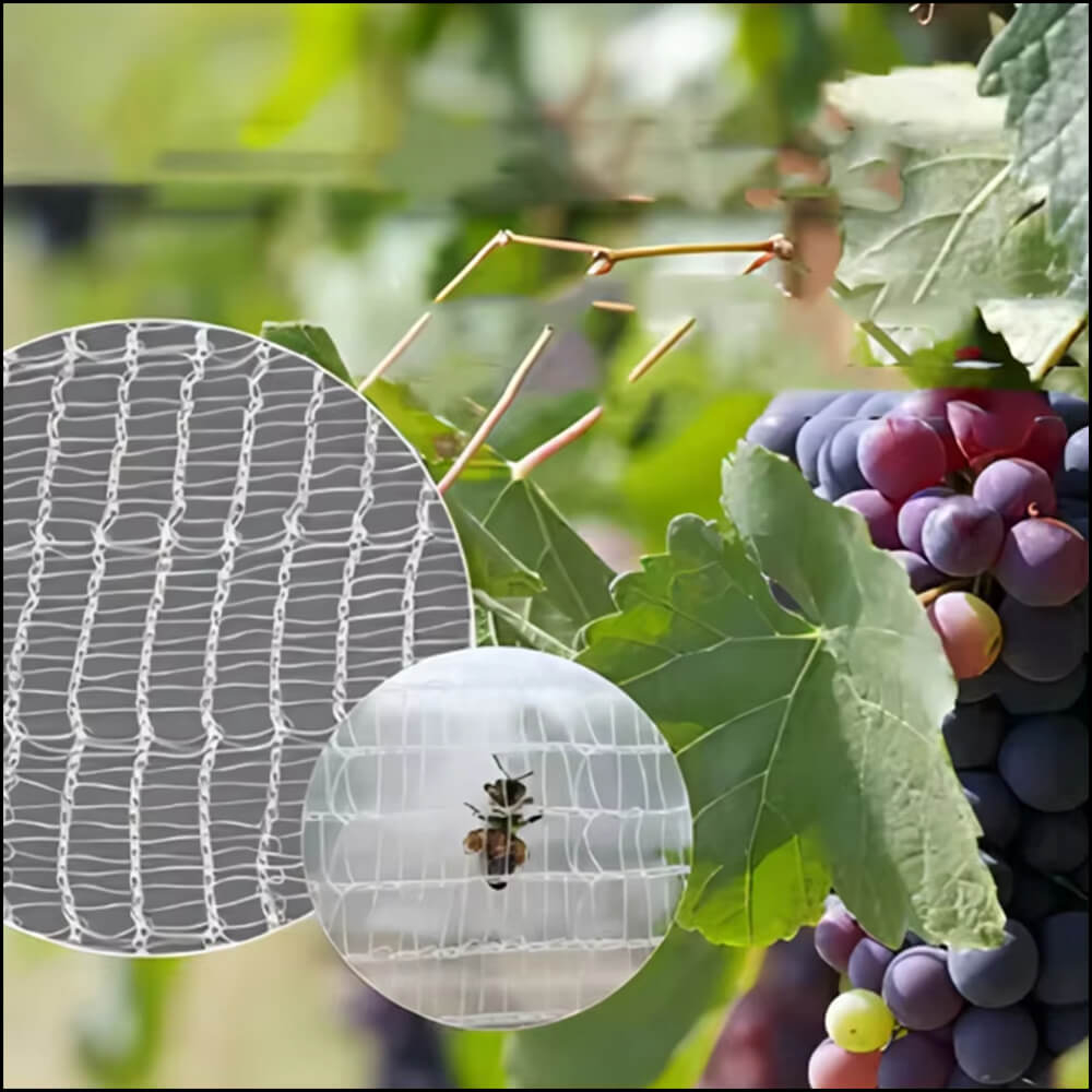 Compania anti -albină netă