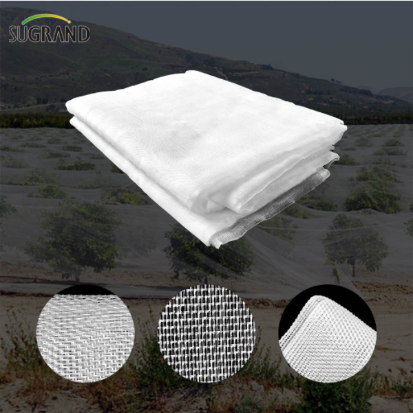 Aplicarea plaselor antiinsecte în industria forestieră și pomicolă