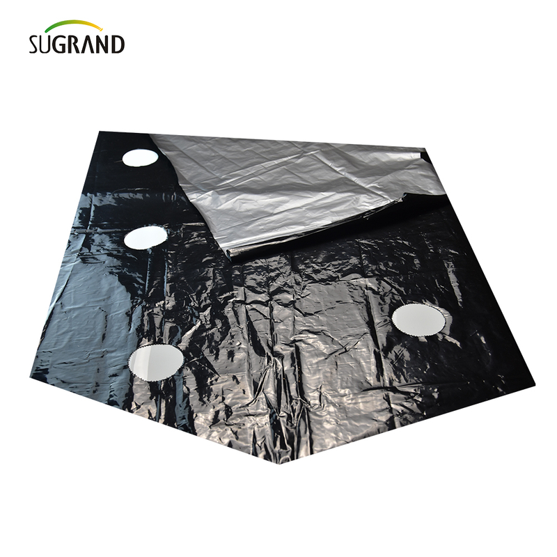 Film de mulci perforat din plastic UV mulch film pentru legume 