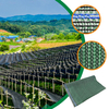 Cu ridicata seră cu ridicata sau grădină verde nuanță de soare verde pentru fabrica de vânzare