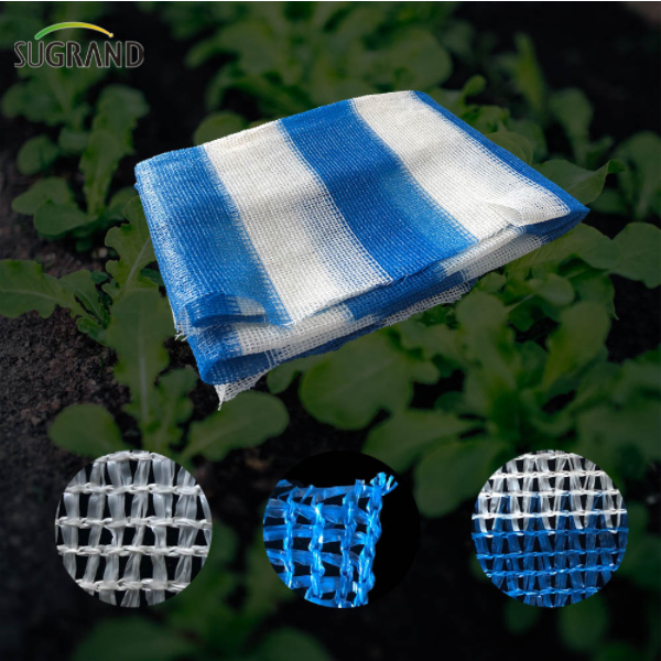 Cunoștințe de plasă de parasolar