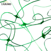 8GSM-10GSM Green HDPE Plant Support