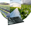 Preț din fabrică ieftin din plastic negru mulci biodegradabil film de mulci pentru agricultură pentru agricultură