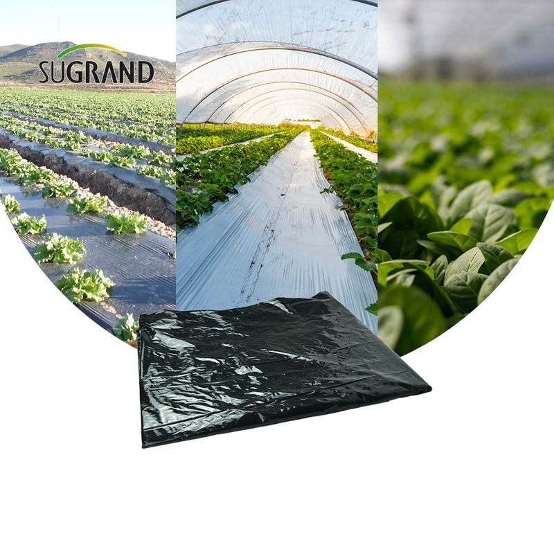 Preț din fabrică ieftin din plastic negru mulci biodegradabil film de mulci pentru agricultură pentru agricultură