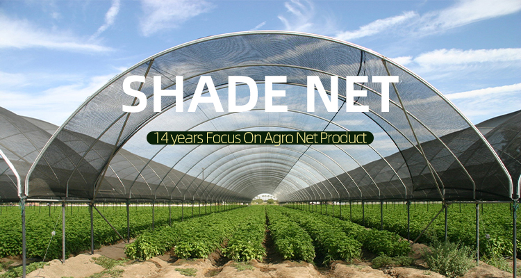 Virgin Shade Netting