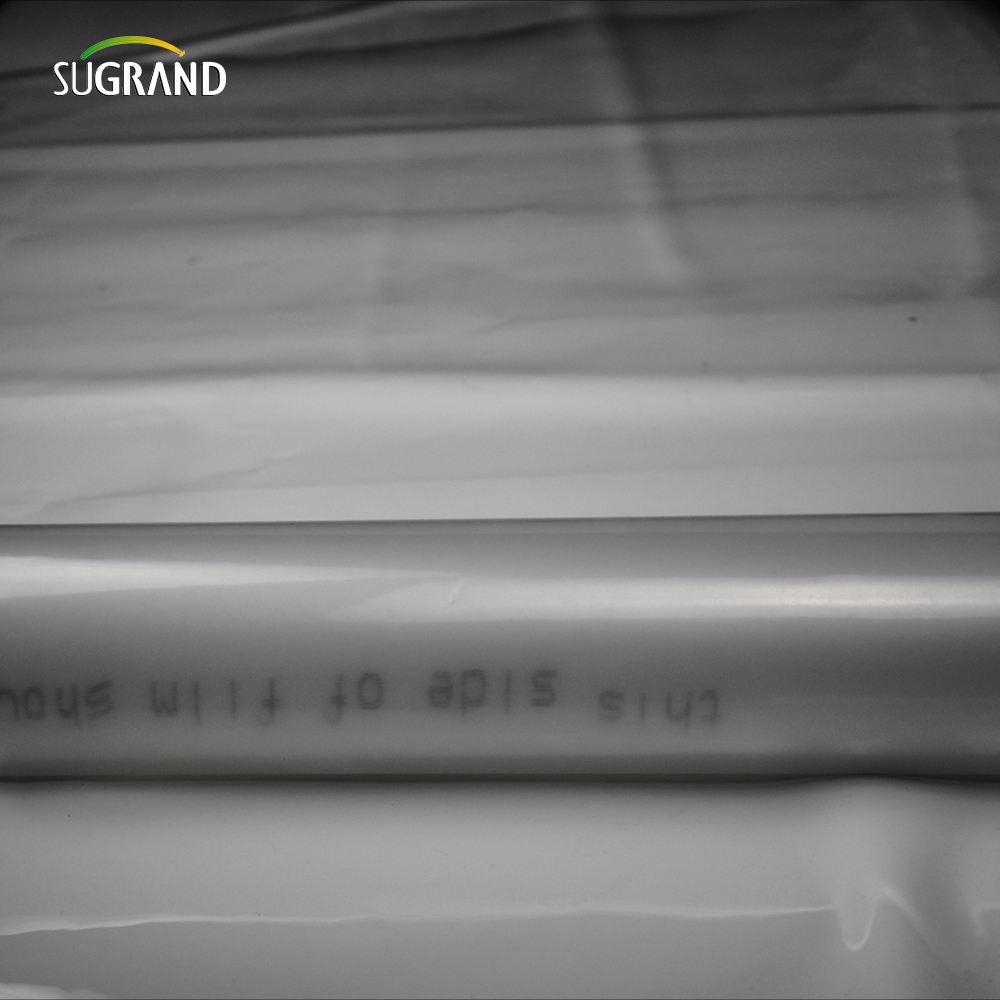 UV 190 Micron cu seră de polietilenă Film de 6 mil. Fabrica de copertă din plastic de plastic