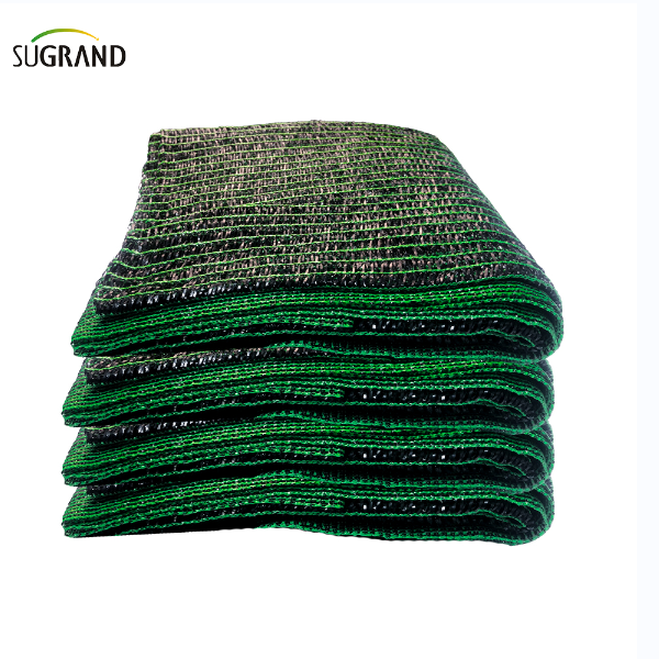  Cum să protejezi plantele pe vreme caldă?