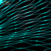 20gsm Green Anti-Bird Netting online