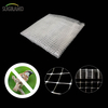 Alb 8*8mm extrudat plasă anti-pasăre pentru furnizorii de păsări de fructe