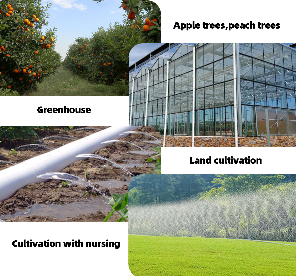 Irigarea prin picurare9