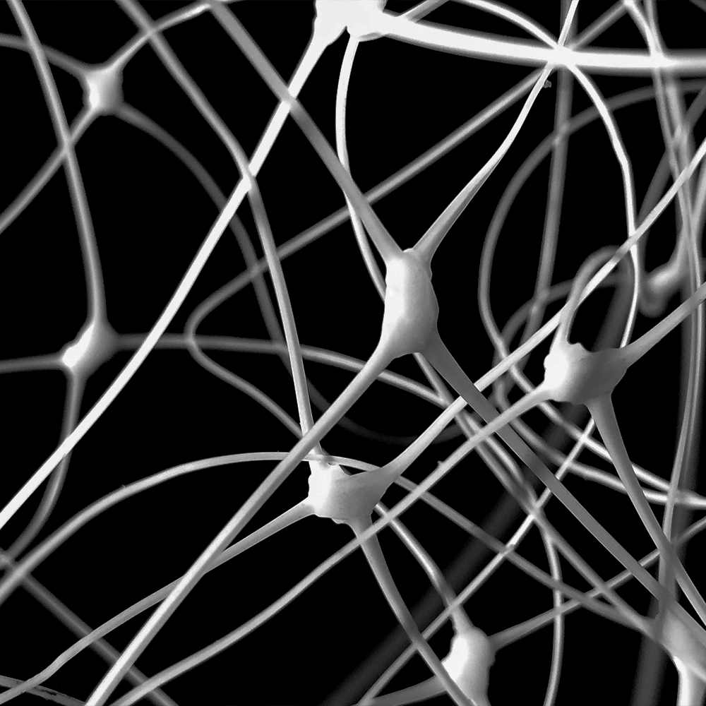 Plant Support Net Garden Trellis pentru urcarea plantelor în aer liber